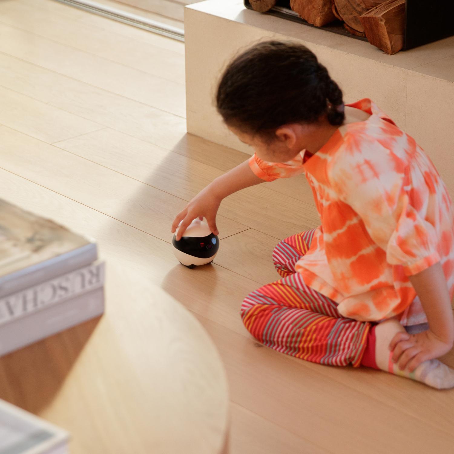 Enabot EBO SE Smart Home Robot